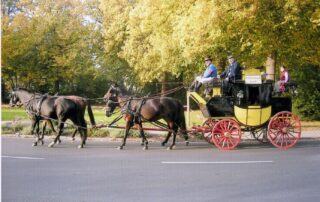 Vereinsgeschichte 220822 6