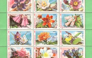 Fruehlingsblumen scaled