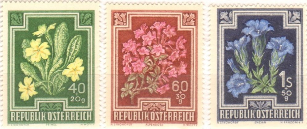 Europa Blumen Europa Blumen