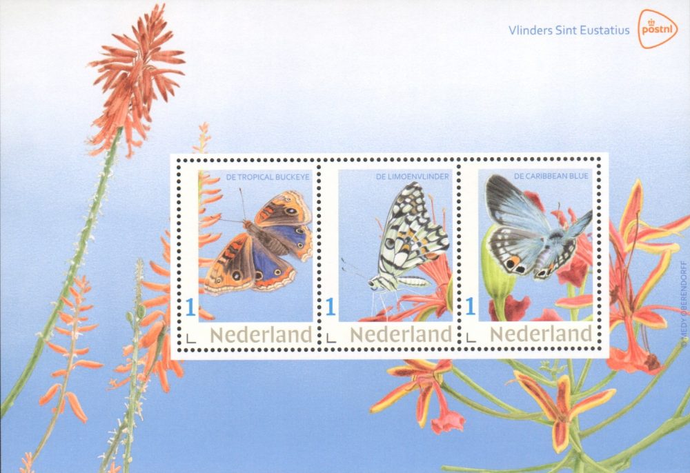 Verlosung 2025 2 Verlosung 2025 2