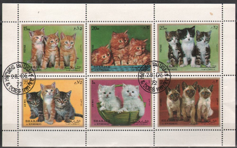 sharjah 13 So 72 sharjah 13 So 72